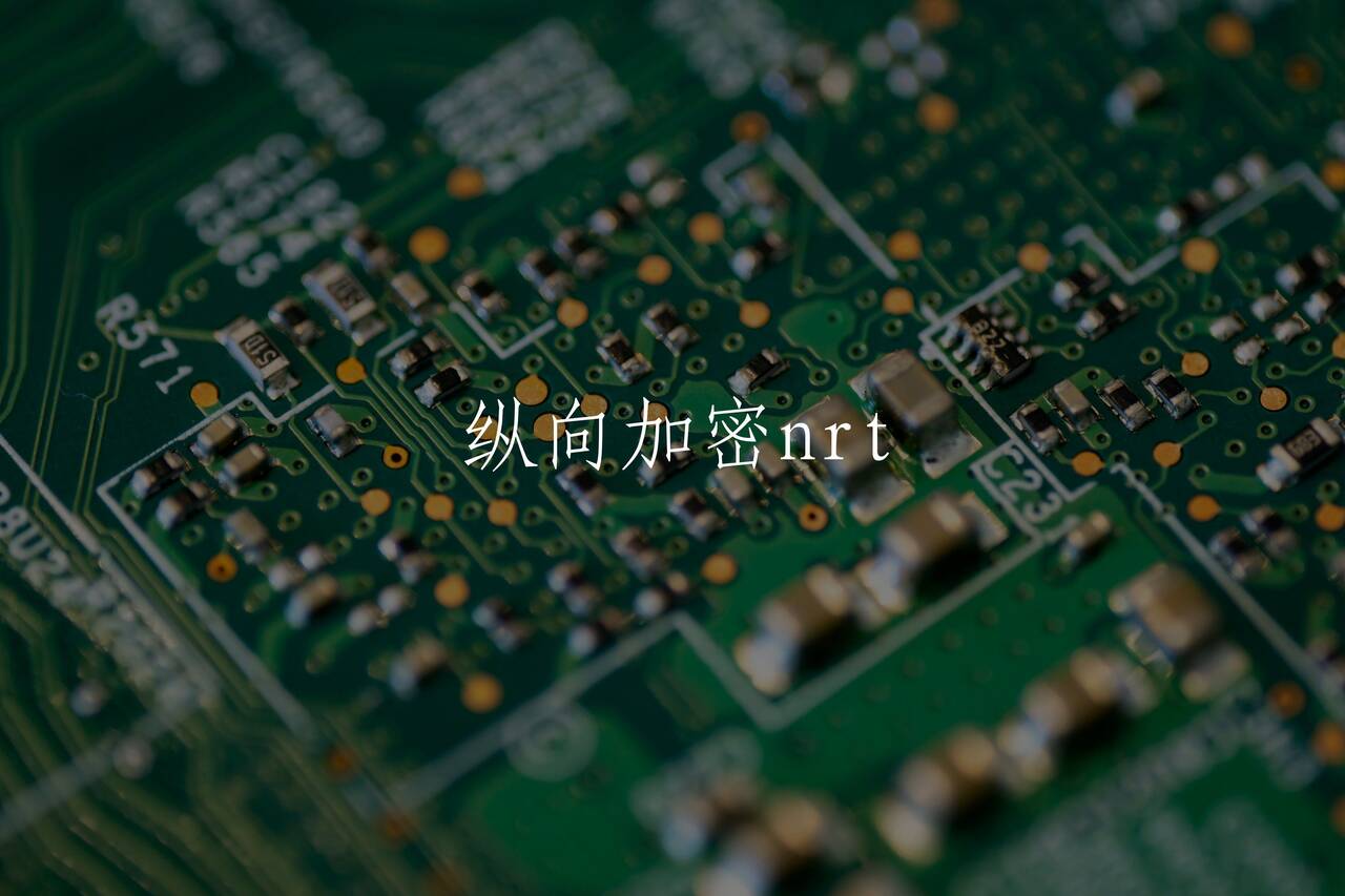 纵向加密nrt 核心概念图