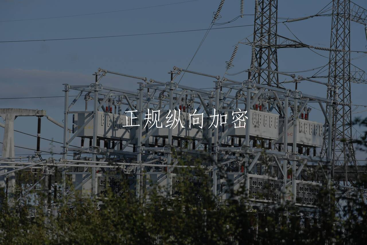 正规纵向加密 核心概念图