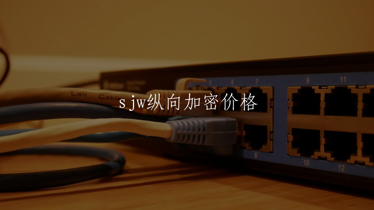 sjw纵向加密价格 核心概念图