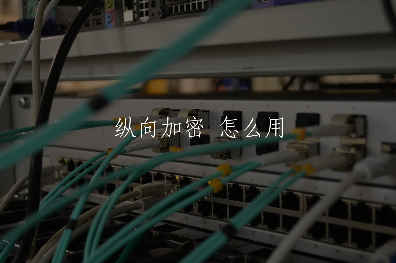 纵向加密 怎么用 核心概念图