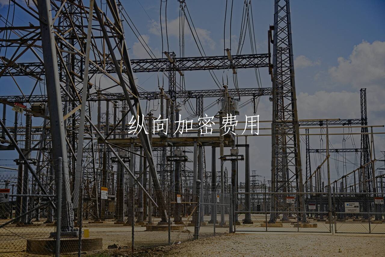 纵向加密费用 核心概念图