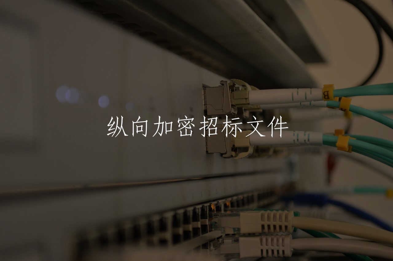 纵向加密招标文件 核心概念图