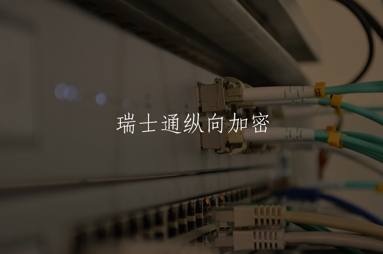 瑞士通纵向加密 核心概念图