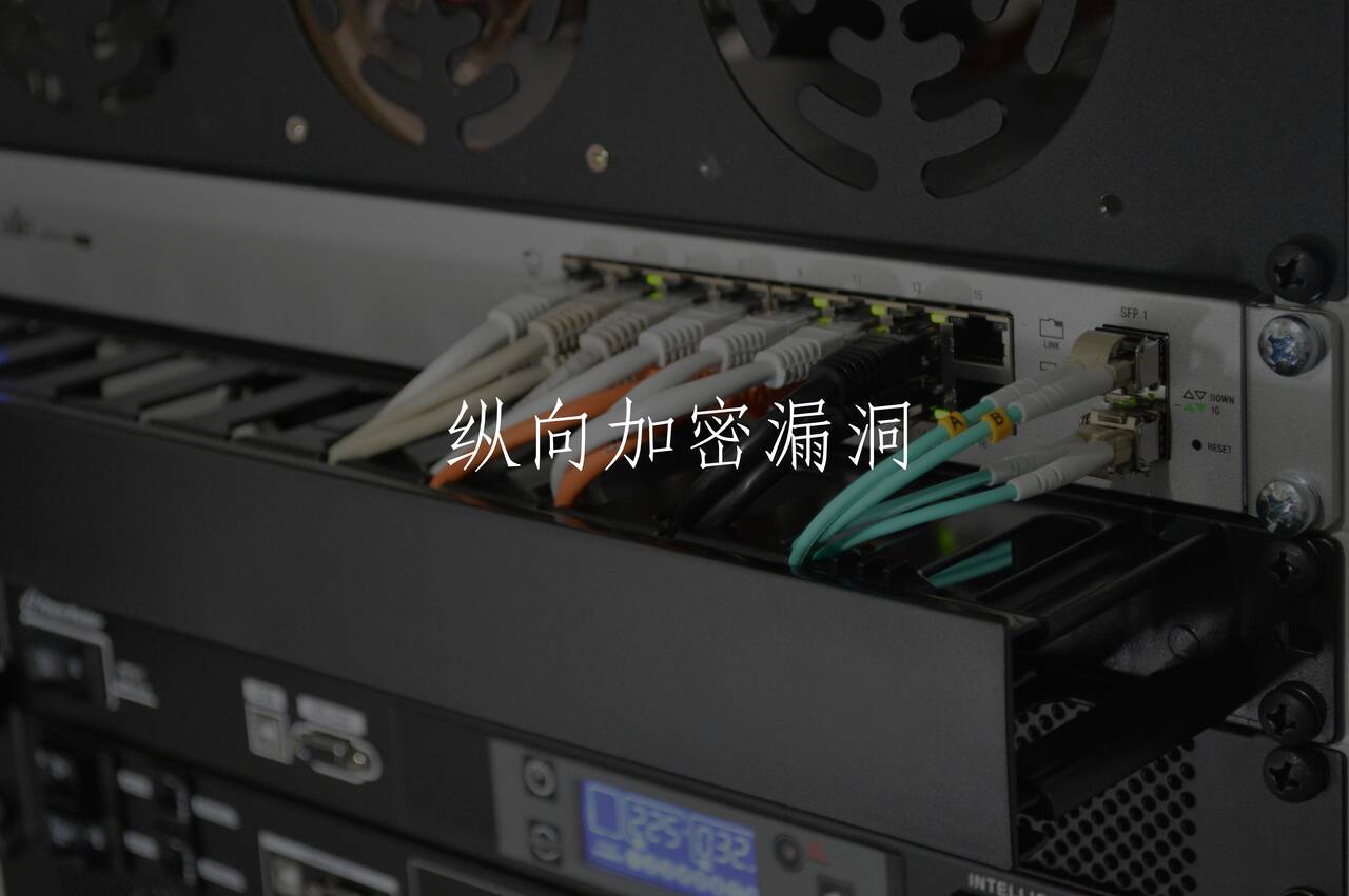 纵向加密漏洞 核心概念图