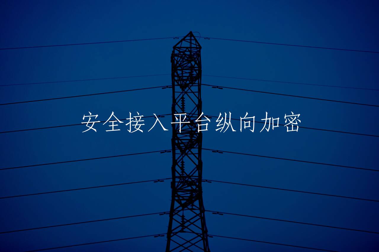 安全接入平台纵向加密 核心概念图