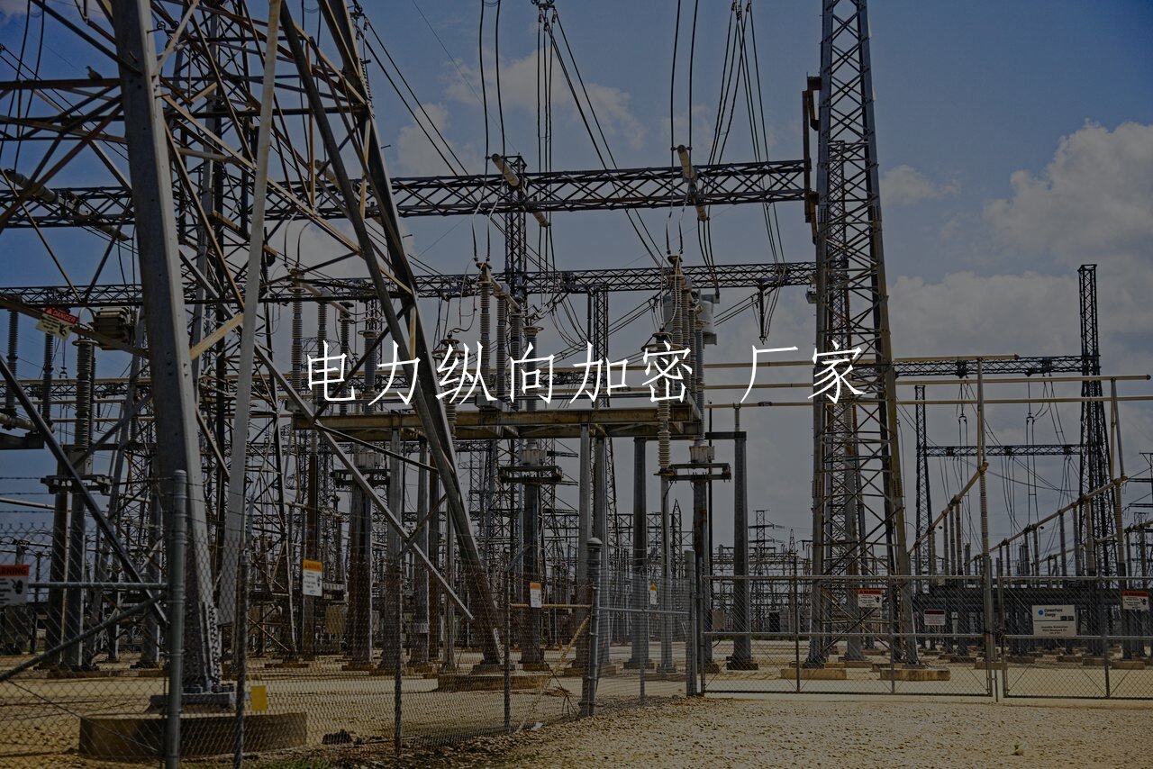 电力纵向加密 厂家 核心概念图