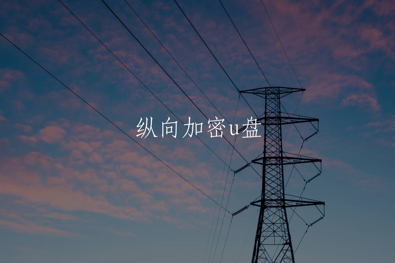 纵向加密u盘 核心概念图