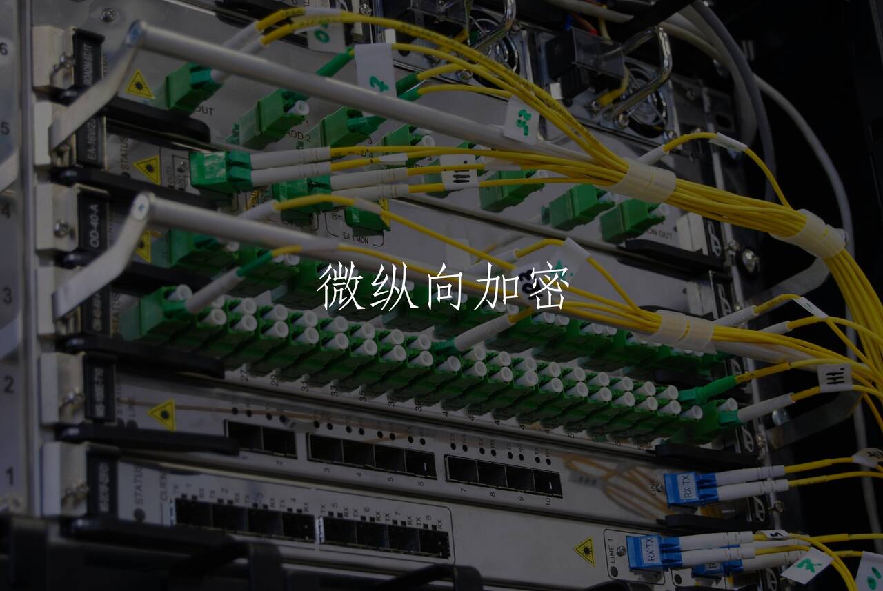 微纵向加密 核心概念图