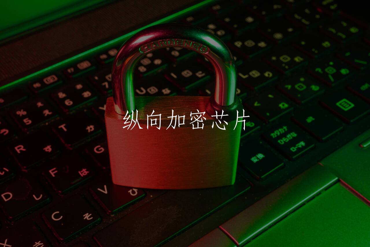 纵向加密芯片 核心概念图