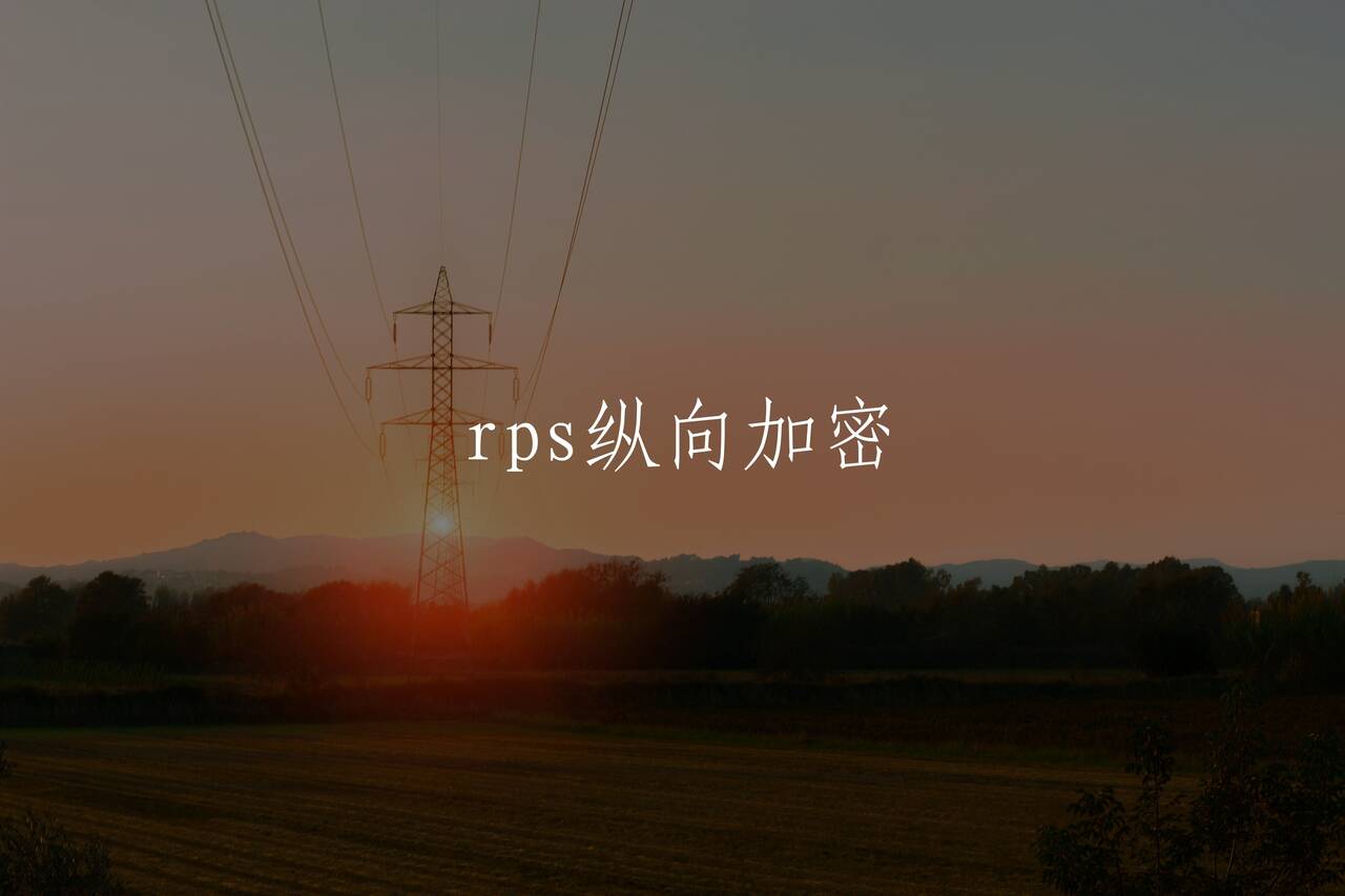 rps纵向加密 核心概念图