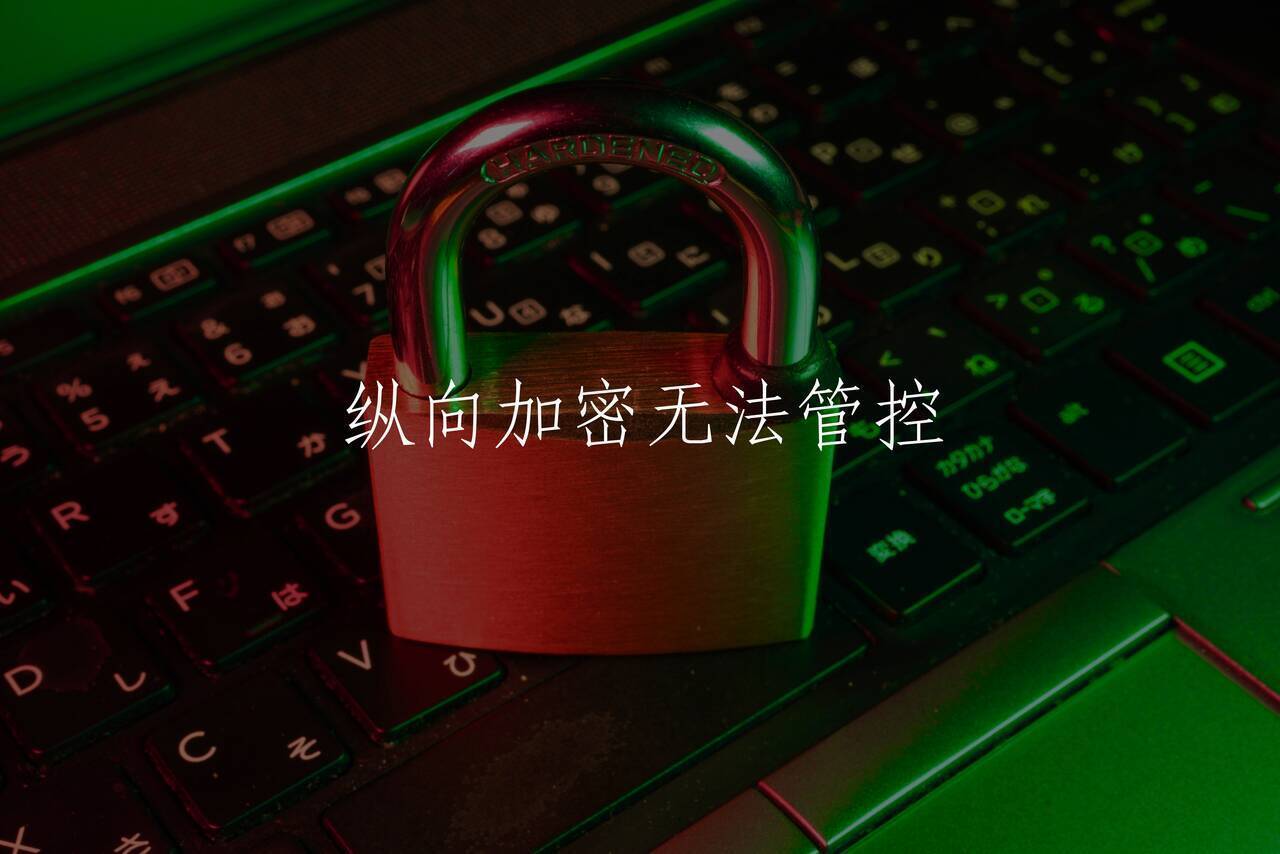 纵向加密无法管控 核心概念图