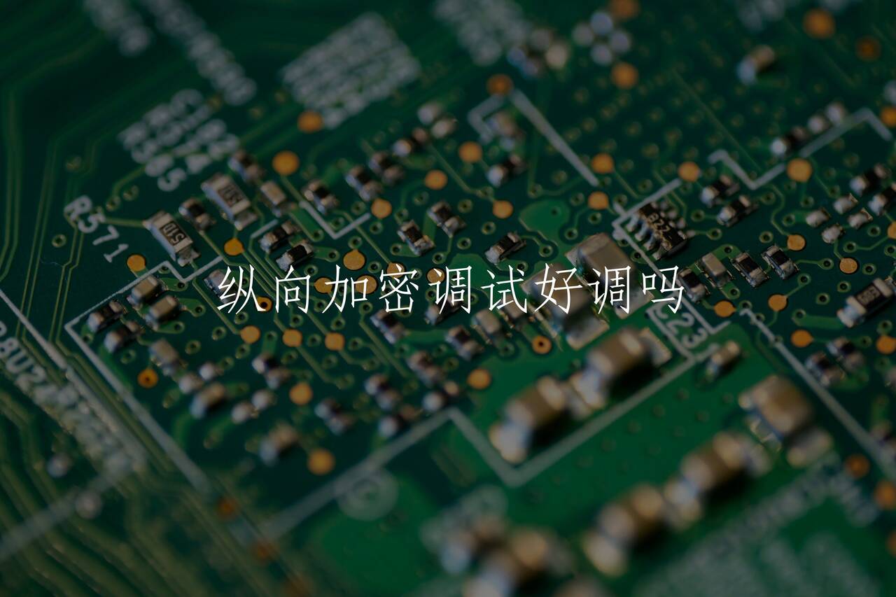纵向加密调试好调吗 核心概念图