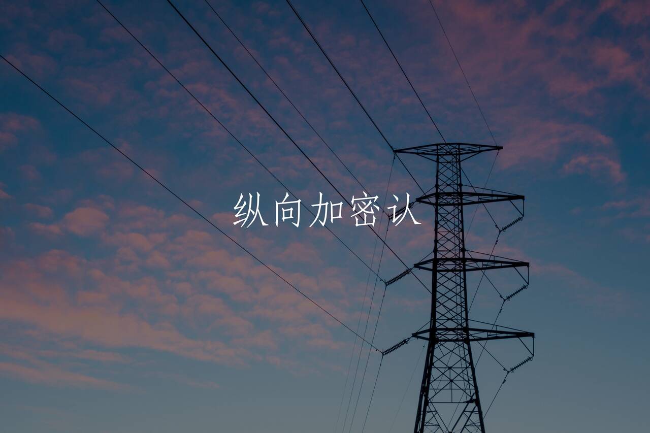 纵向加密认 核心概念图