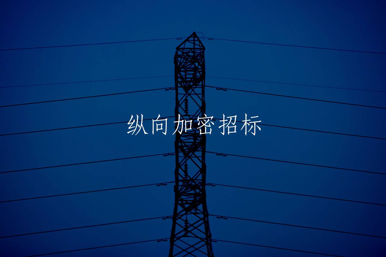 纵向加密招标 核心概念图