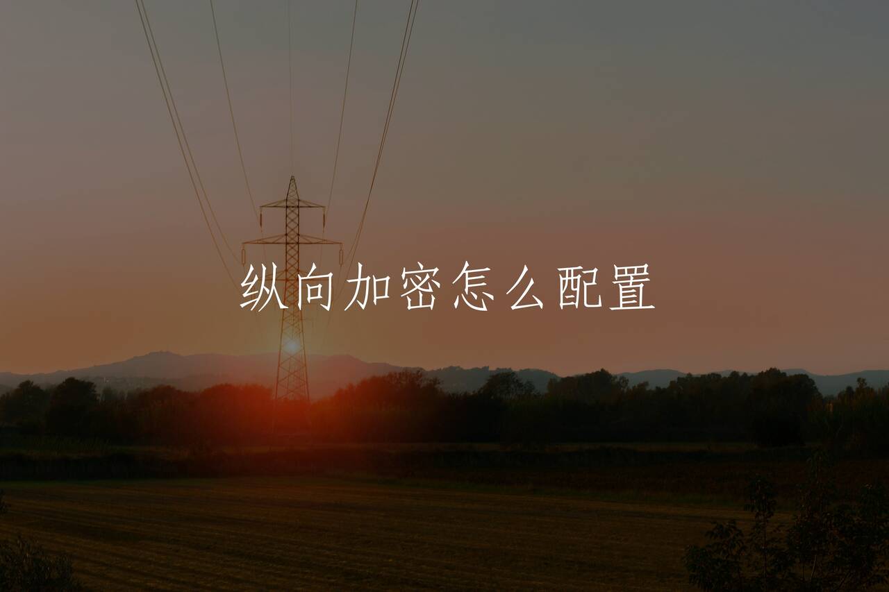 纵向加密怎么配置 核心概念图