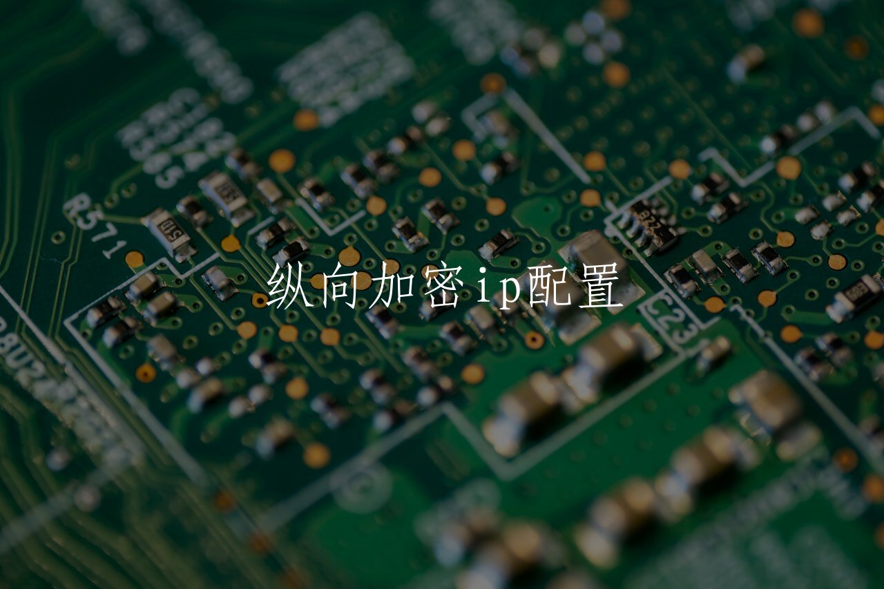 纵向加密ip配置 核心概念图