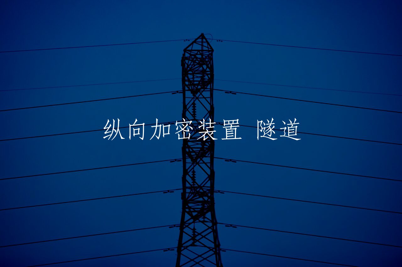 纵向加密装置 隧道 核心概念图