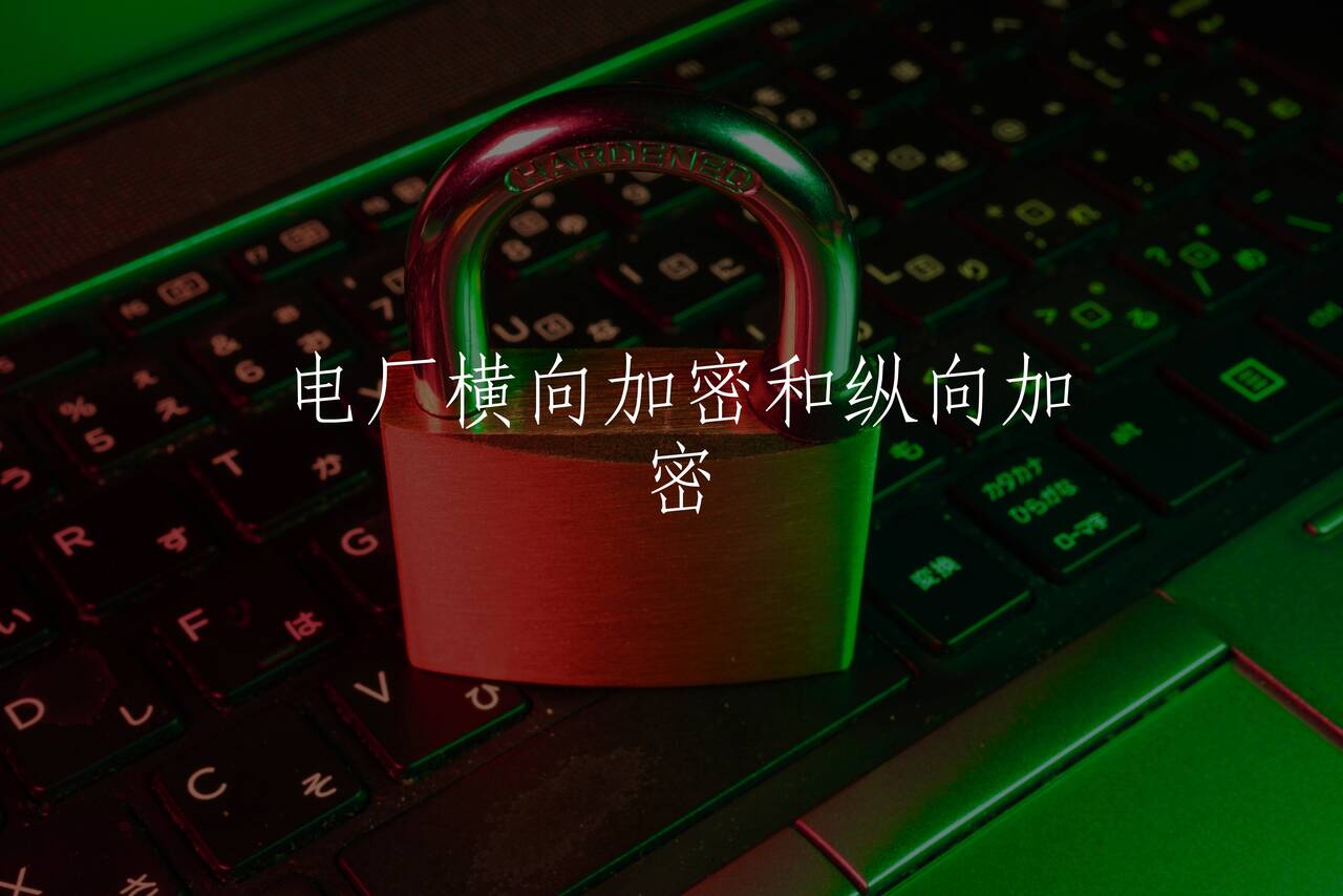 电厂横向加密和纵向加密 核心概念图