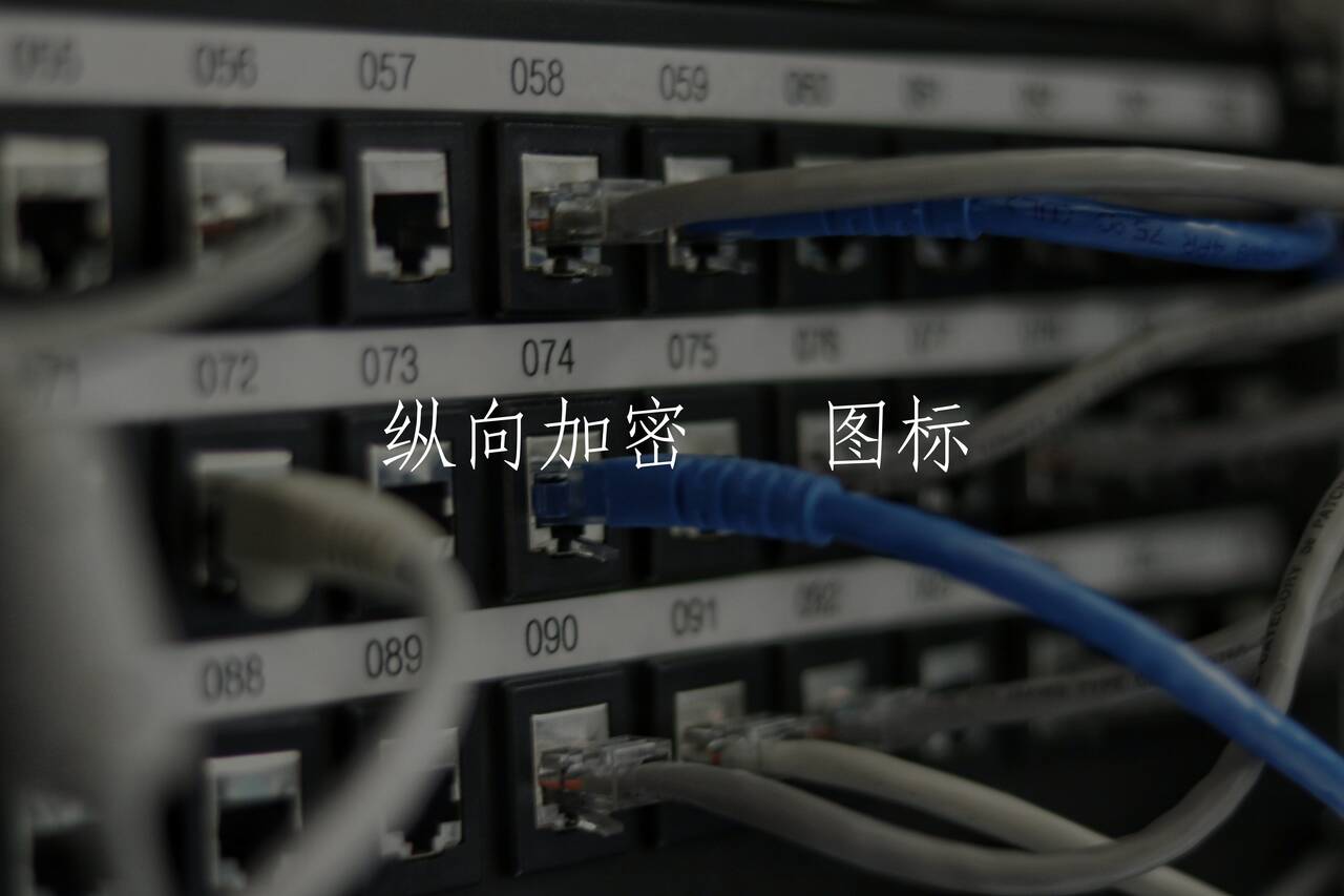 纵向加密   图标 核心概念图