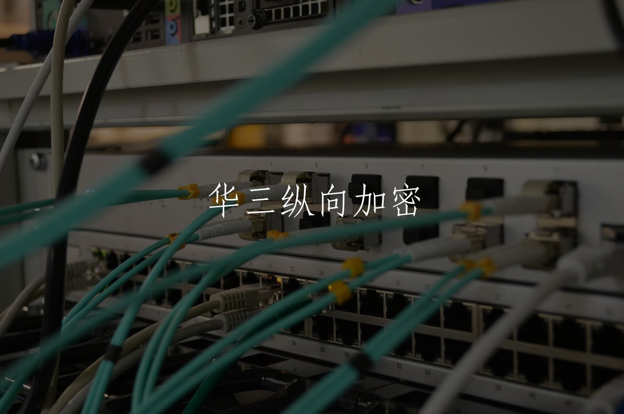 华三纵向加密 核心概念图