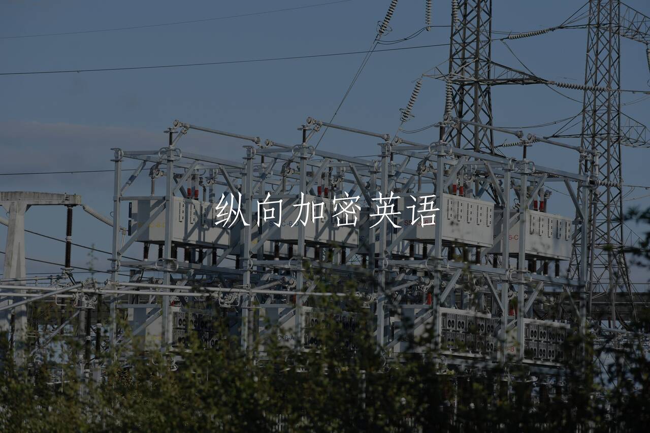 纵向加密英语 核心概念图