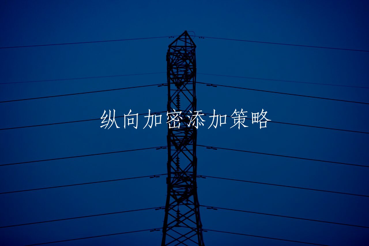 纵向加密添加策略 核心概念图