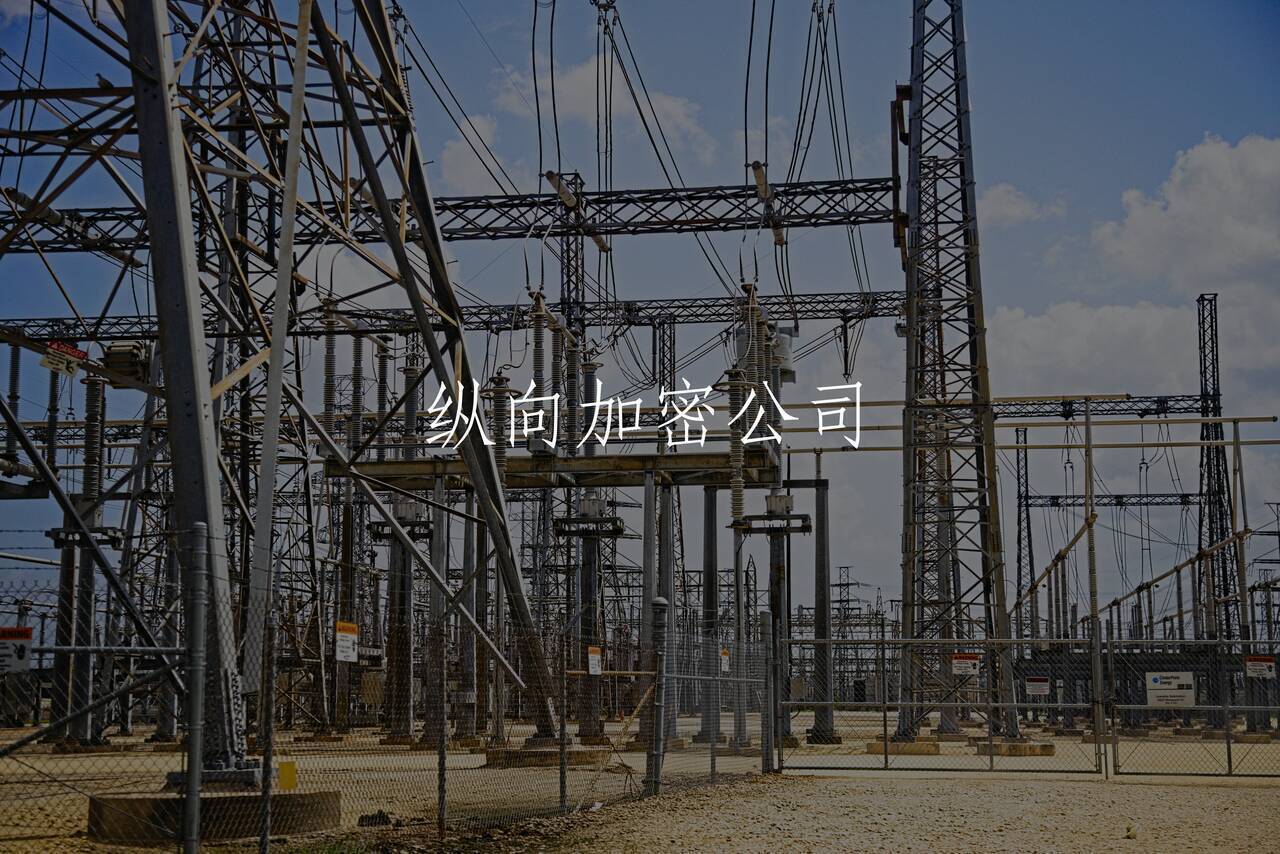 纵向加密公司 核心概念图