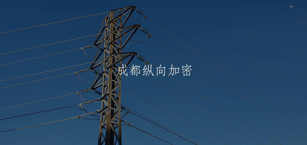 成都纵向加密 核心概念图