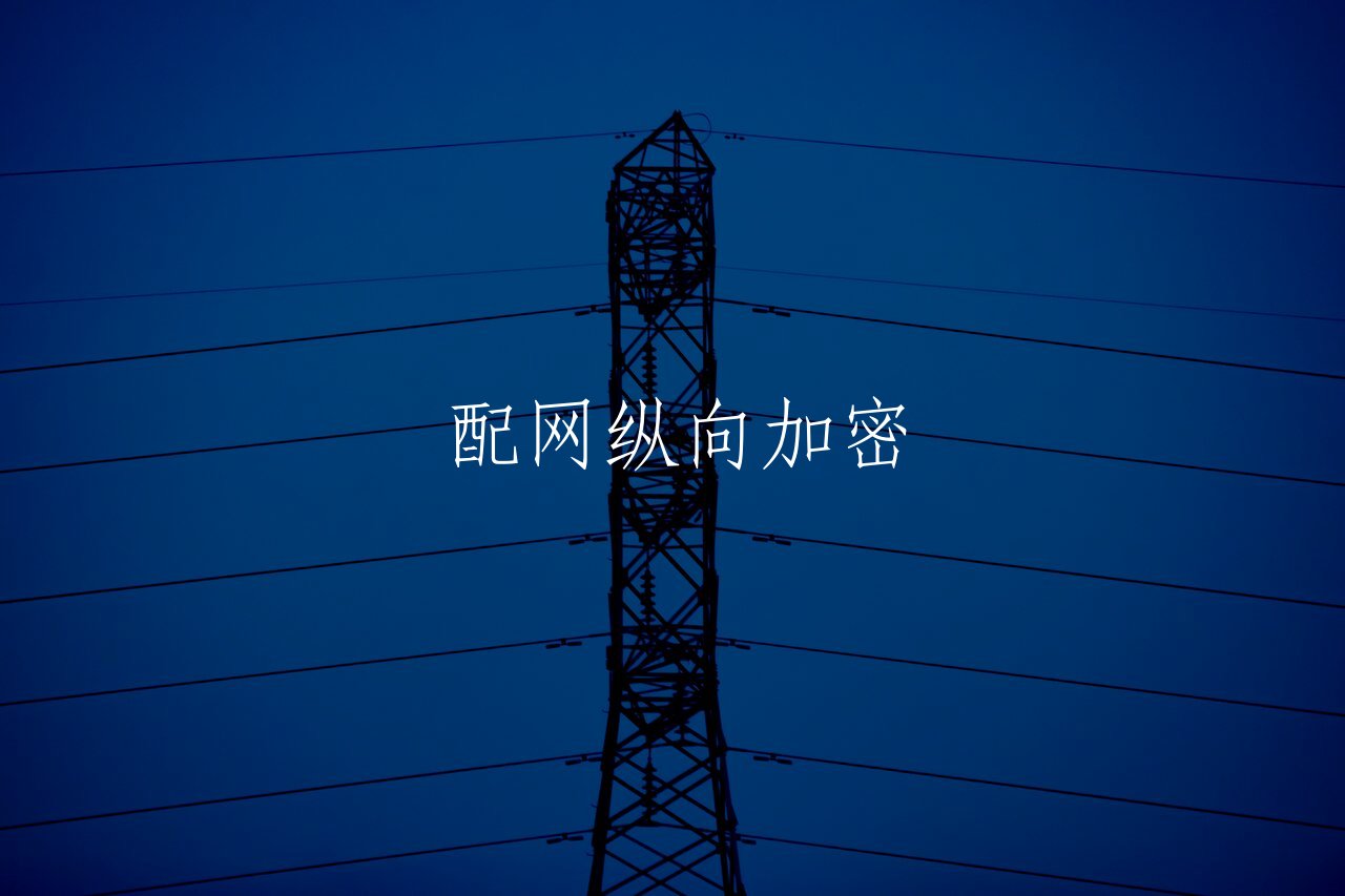 配网纵向加密 核心概念图