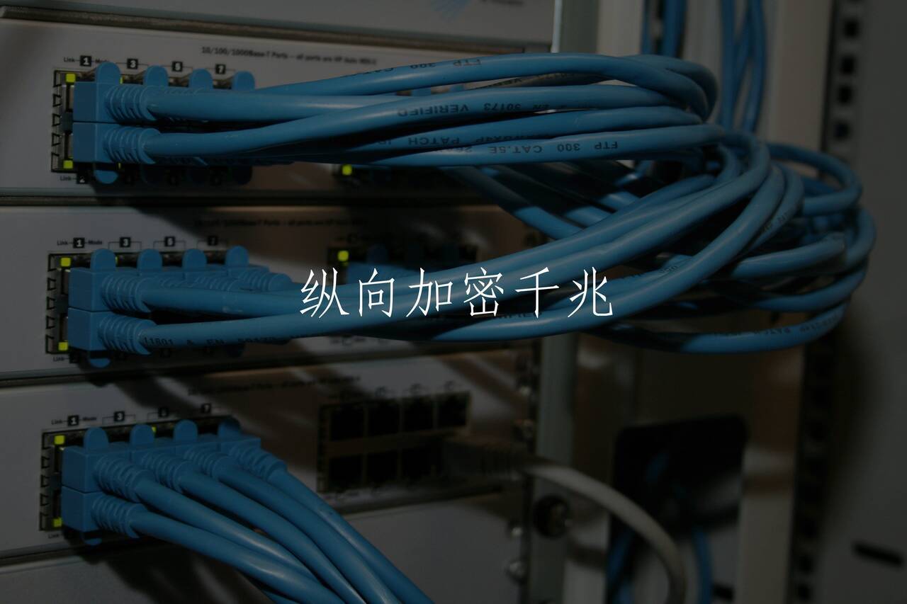 纵向加密千兆 核心概念图