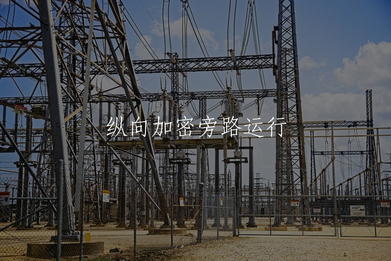 纵向加密旁路运行 核心概念图