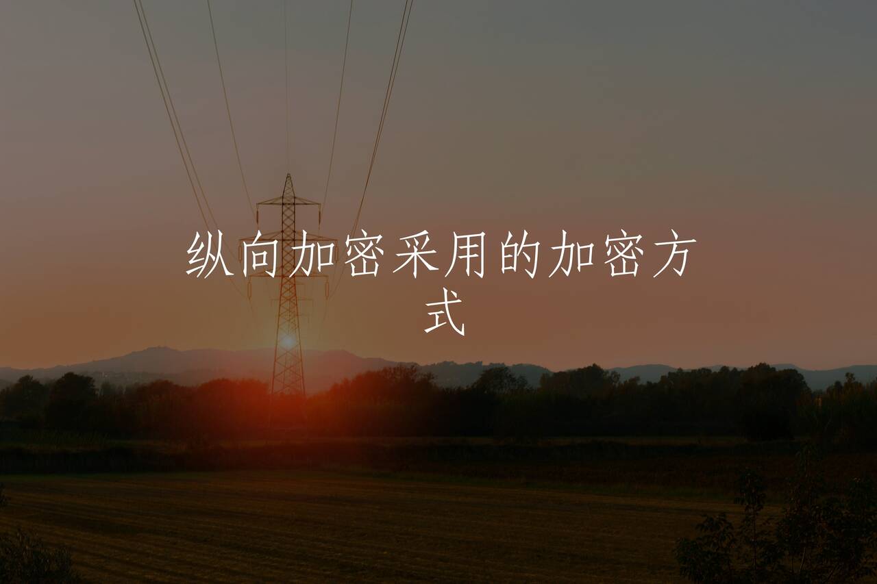 纵向加密采用的加密方式 核心概念图