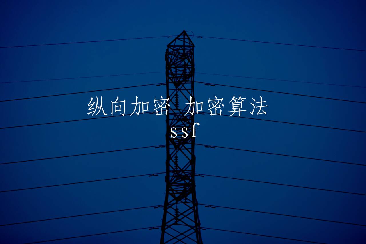 纵向加密 加密算法 ssf 核心概念图