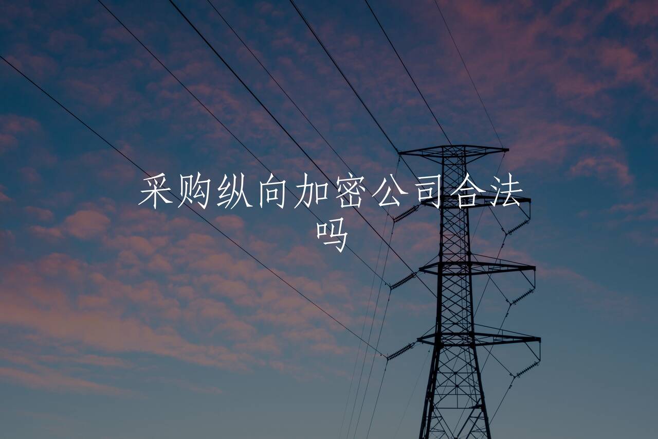 采购纵向加密公司合法吗 核心概念图