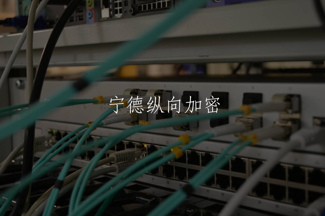 宁德纵向加密 核心概念图