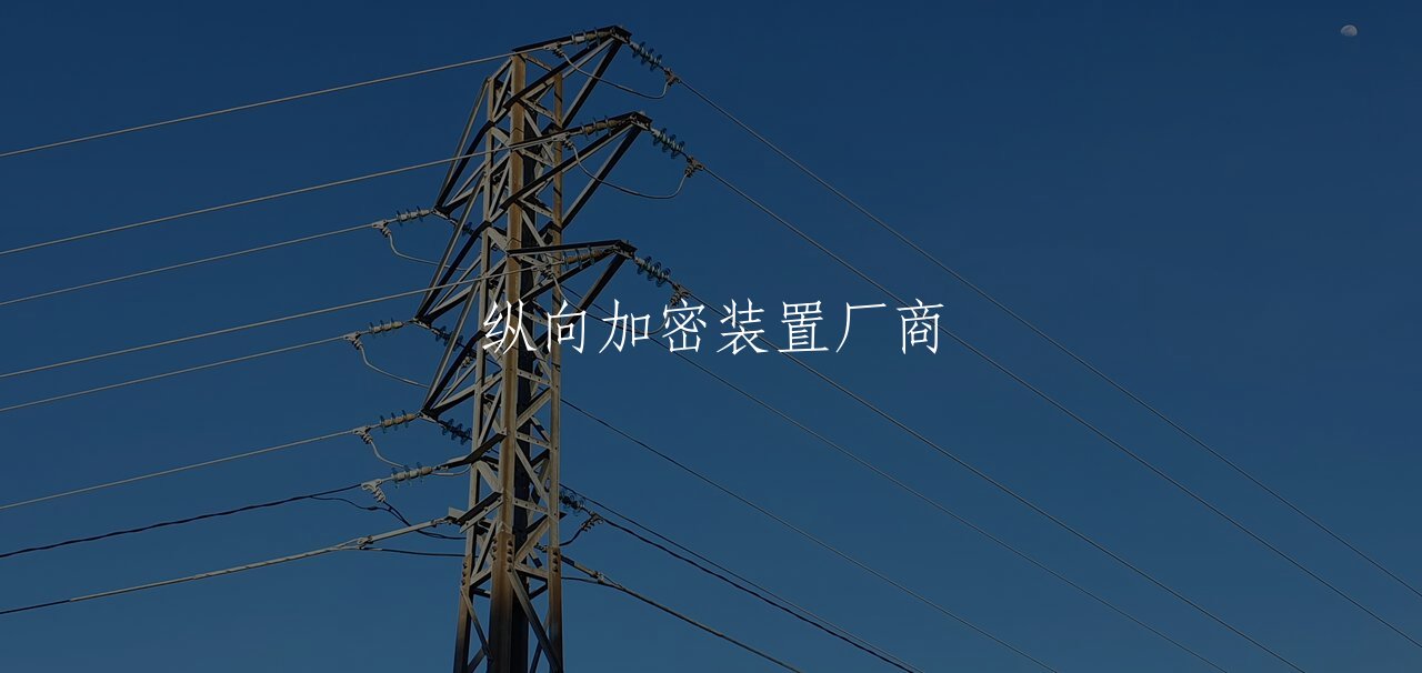 纵向加密装置厂商 核心概念图