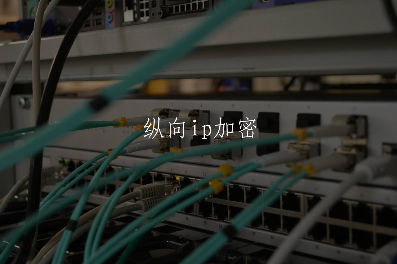 纵向ip加密 核心概念图