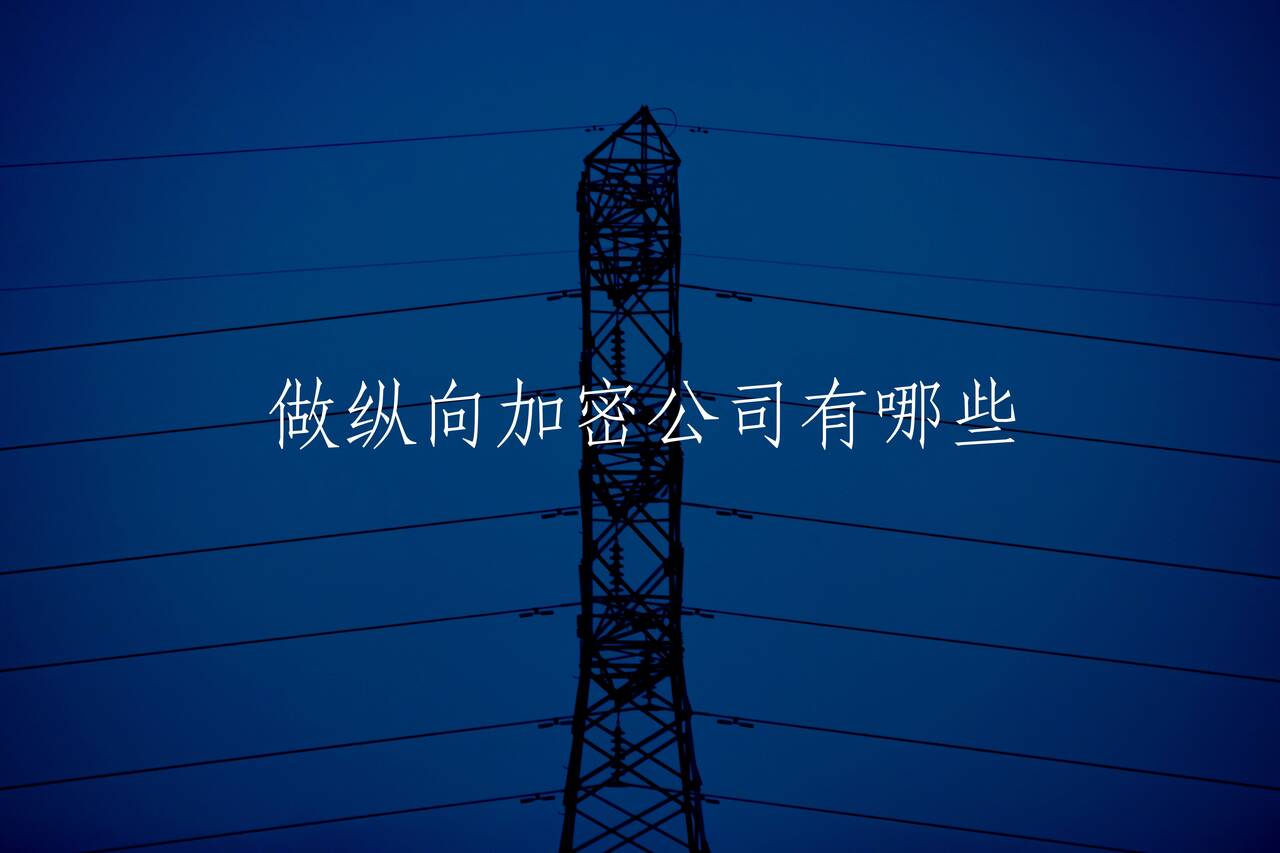 做纵向加密公司有哪些 核心概念图